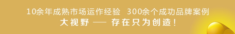 10余年成熟市场运作经验，300余个成功品牌策划设计案例。大视野，东莞优秀广告设计公司，存在只为创造，品牌强国的推手！