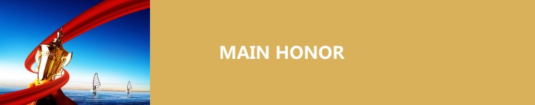 东莞大视野广告设计公司主要荣誉