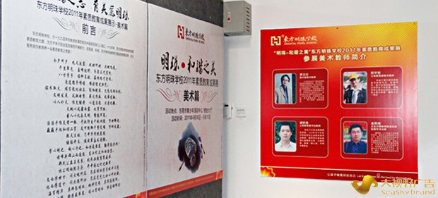 品牌推广运营案例