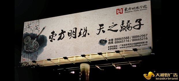 广东广告公司案例