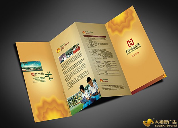 广东省品牌策划机构案例