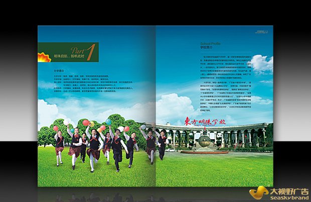 品牌推广运营案例