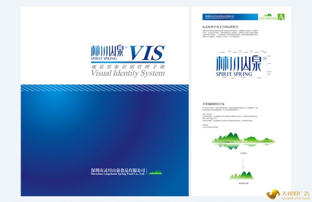 大视野品牌运营推广案例