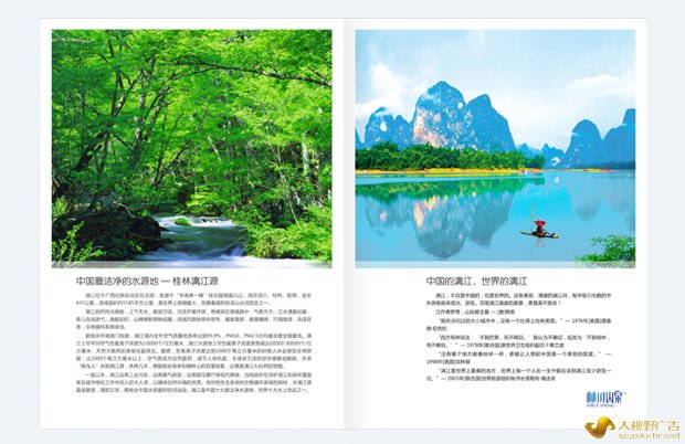 广告公司VI设计案例