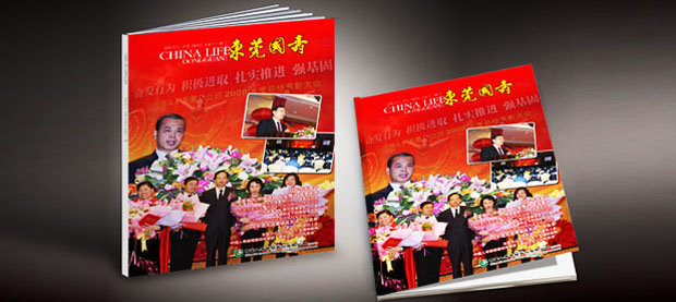 东莞国寿企业品牌画册设计