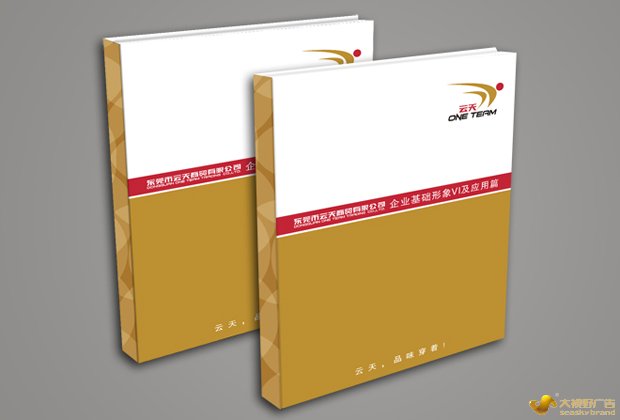 SI终端专卖店设计