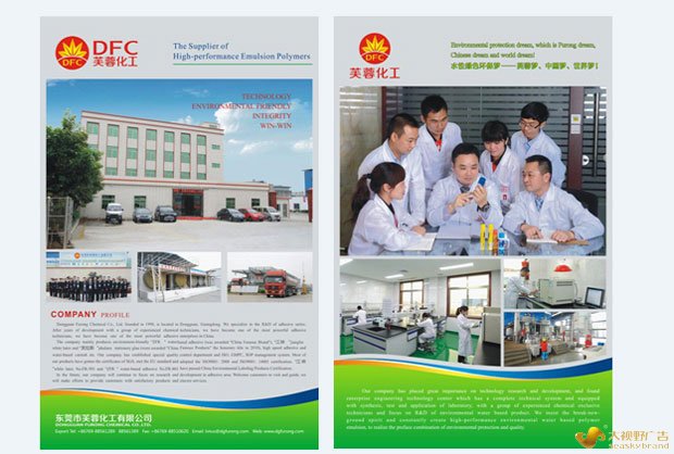 广告公司网站案例