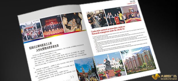 广告公司网站案例展示