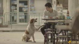 催人泪下的泰国广告文案