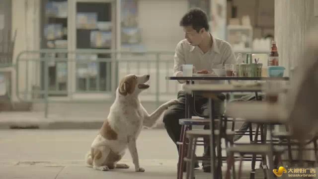 泰国,广告,文案